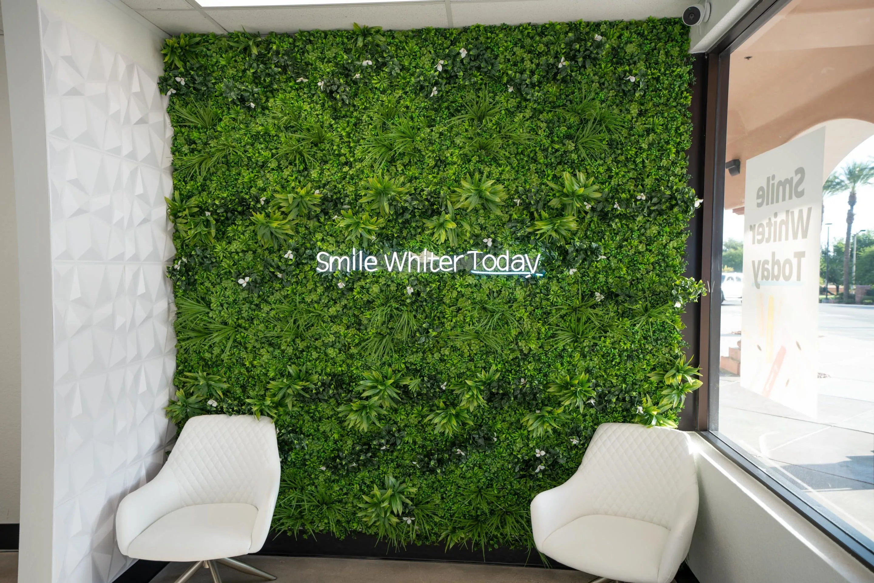 34602 dallas dentist credentials