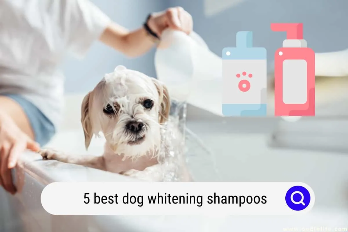 34664 dog shampoo ingredients